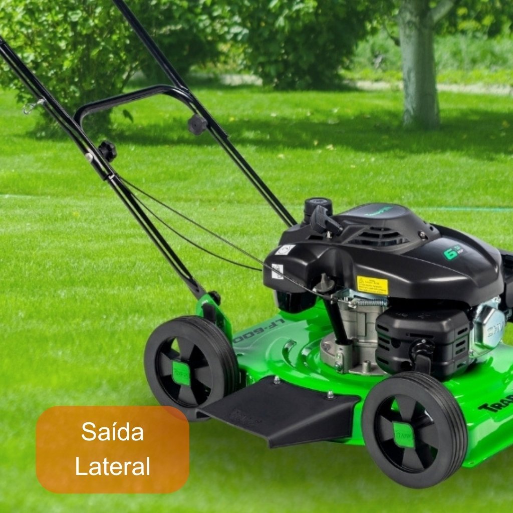 LF-600G 6,5HP V 4 T.