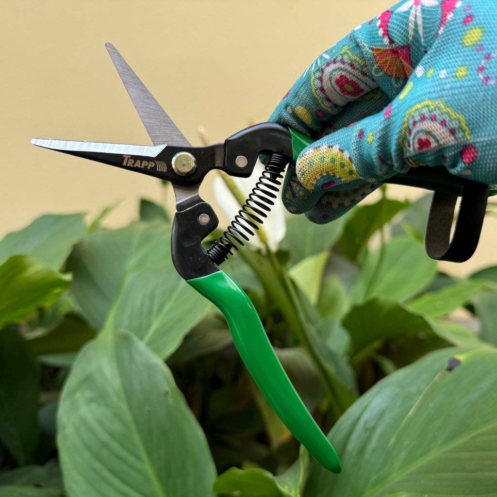 トップス teirusu Tesoura para Colheita e Poda TS-803 - Trapp