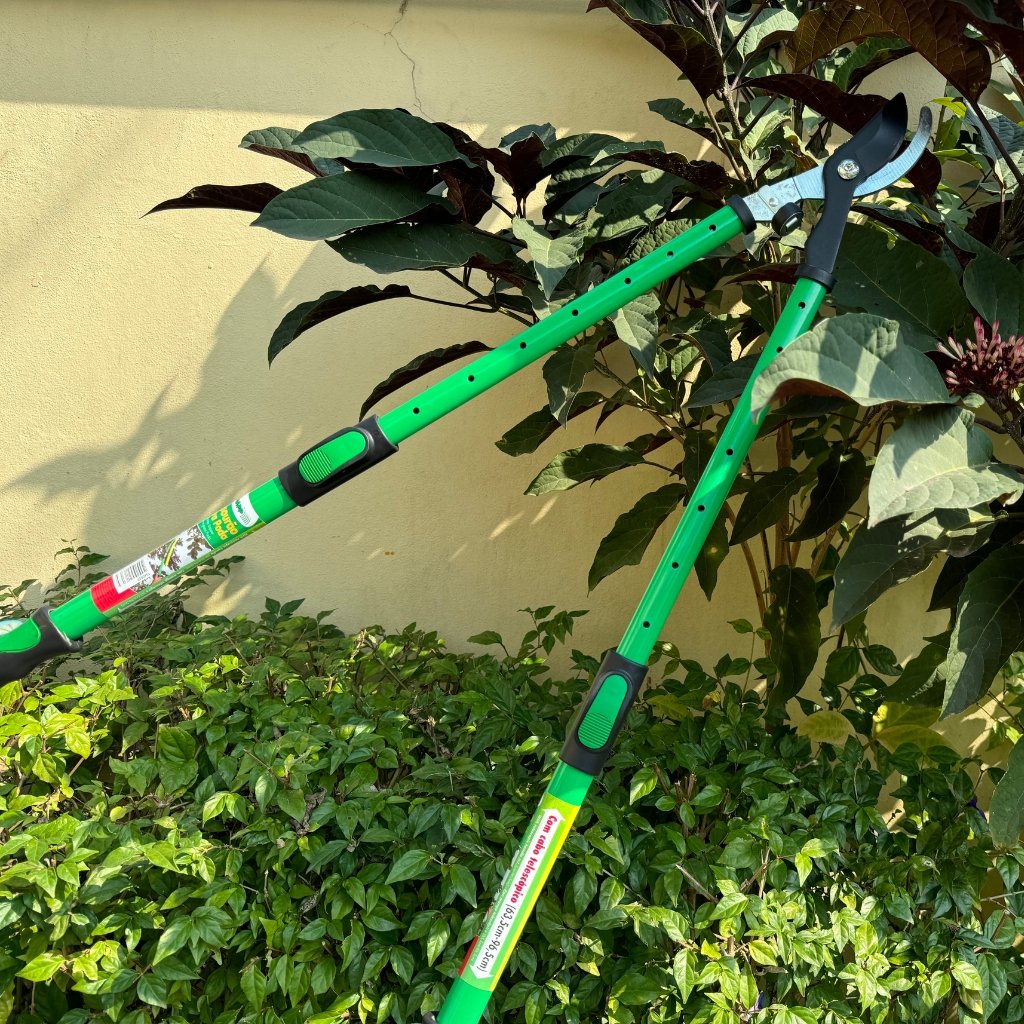 Tesourão para Poda TS-40856 - Trapp