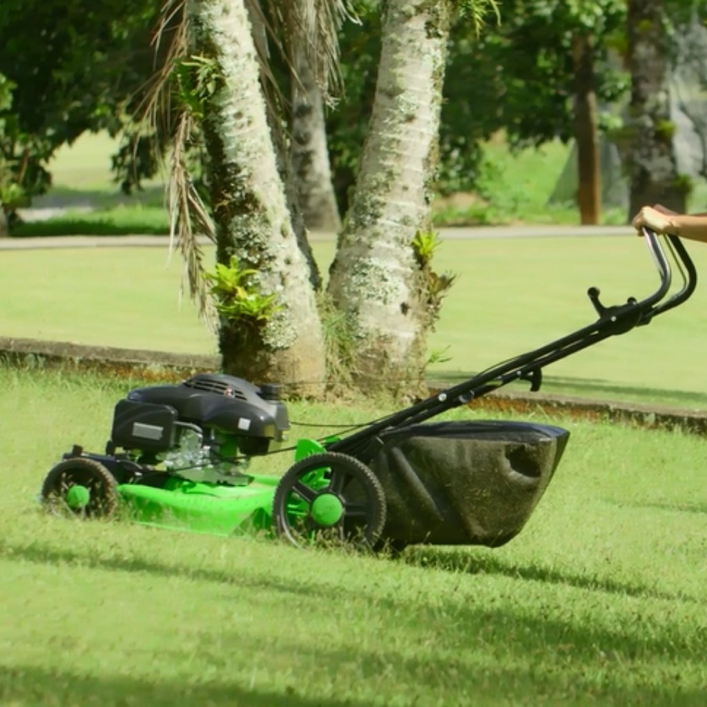 Cortador de Grama à Gasolina com Tração LF-55C Trapp